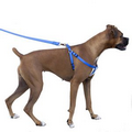 Dog Leash Harness